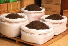 поставщиках чая