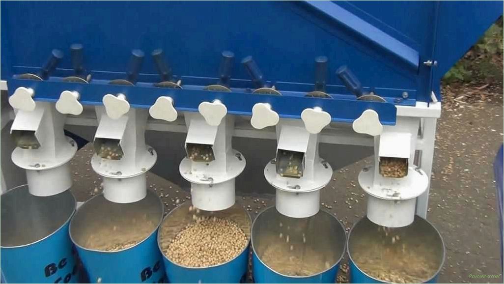 Очистка семян зерна: эффективные методы и рекомендации