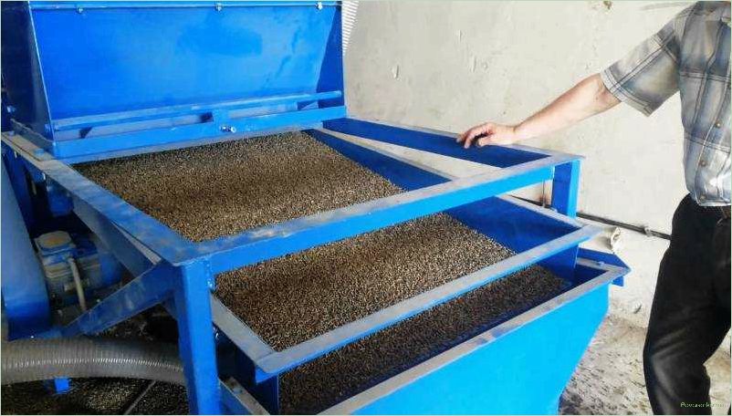 Очистка семян зерна: эффективные методы и рекомендации