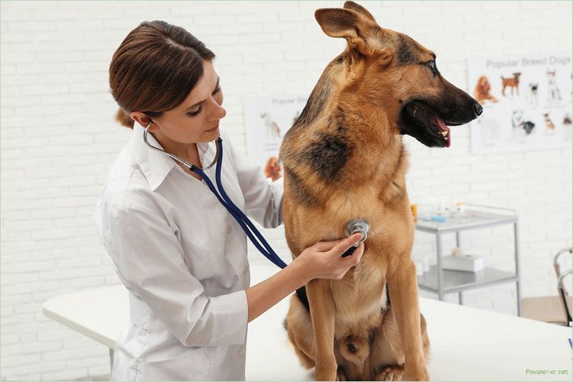 Эффективные ветеринарные препараты для здоровья животных
